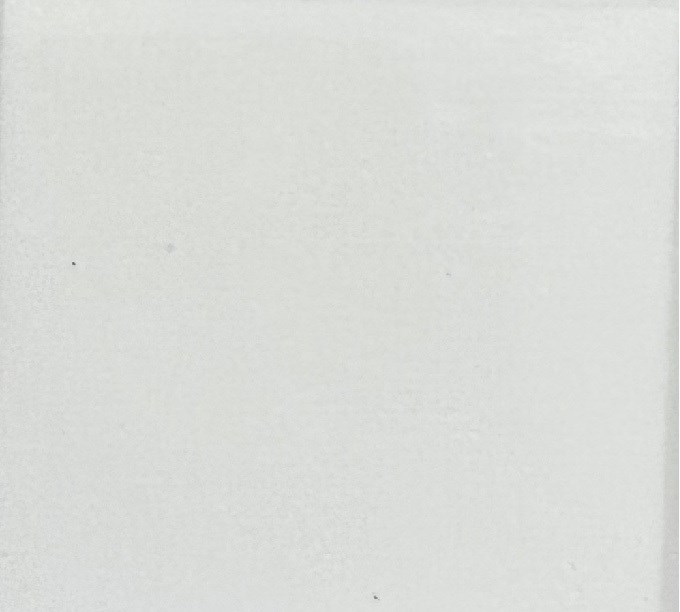 BW010