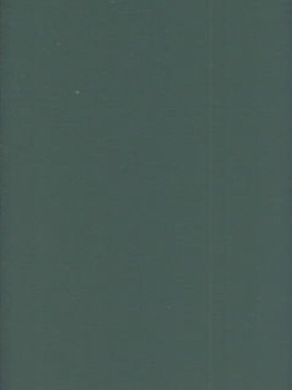 M13