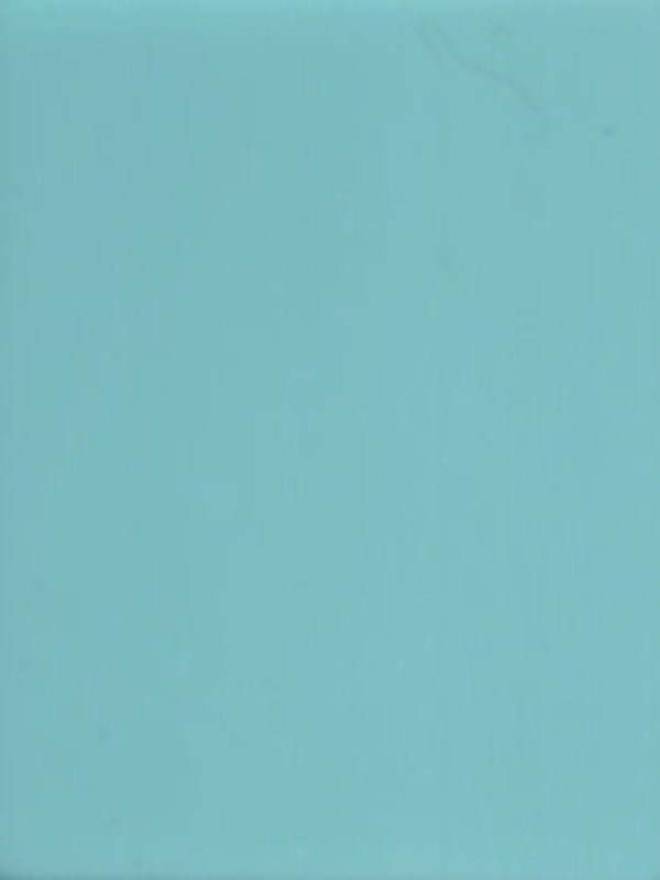 G1010