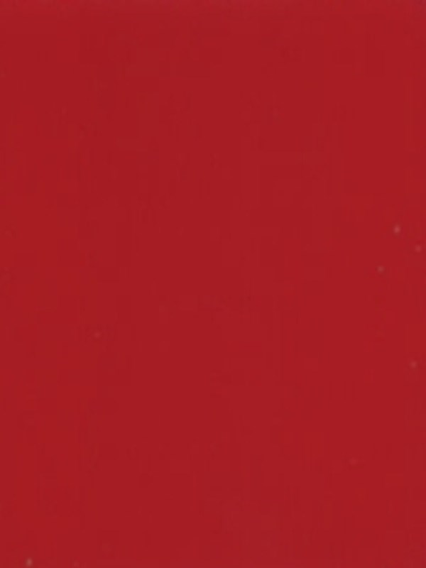 G009
