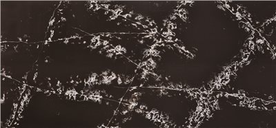 SI-609