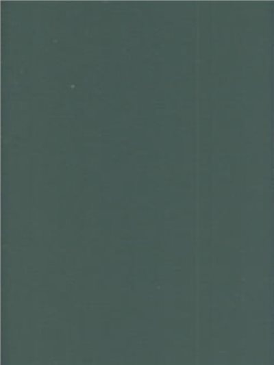 M13